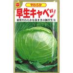 【種 たね タネ】やわらか 早生 キャベツ アタリヤ農園