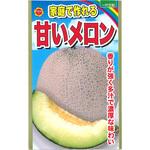 【種 たね タネ】家庭で作れる 甘い メロン アタリヤ農園