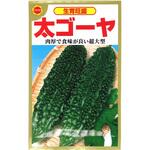 【種 たね タネ】生育旺盛 太 ゴーヤ アタリヤ農園