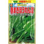 502352 【種 たね タネ】お徳用 おいしい 春まき ほうれん草 アタリヤ農園