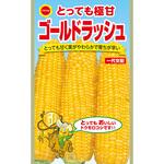 503823 【種 たね タネ】とっても極甘 ゴールドラッシュ とうもろこし アタリヤ農園