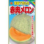 【種 たね タネ】家庭で作れる 赤肉 メロン アタリヤ農園
