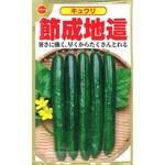 【種 たね タネ】キュウリ 節成地這 きゅうり アタリヤ農園
