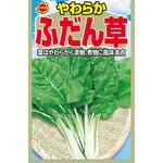 【種 たね タネ】やわらか ふだん草 ほうれん草の仲間 野菜 アタリヤ農園