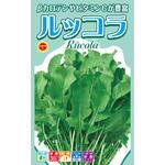【種 たね タネ】ハーブ ルッコラ アタリヤ農園