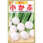 【種 たね タネ】時なし 小かぶ アタリヤ農園