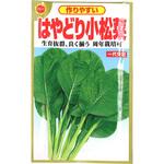 【種 たね タネ】作りやすい はやどり 小松菜 アタリヤ農園