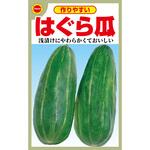 【種 たね タネ】作りやすい はぐら 瓜 うり ウリ アタリヤ農園