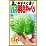 【種 たね タネ】使いやすくて甘い 75日～ 極早生 キャベツ アタリヤ農園