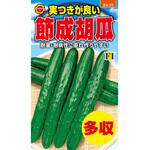 【種 たね タネ】実つきが良い 節成 胡瓜 キュウリ きゅうり アタリヤ農園
