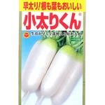 【種 たね タネ】早太り根も葉もおいしい 小太りくん だいこん 大根 アタリヤ農園
