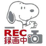 ドラレコステッカースヌーピー Mitsukin(三金商事)