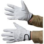 豚クレストマジックアテ付 ACE GLOVE(エースグローブ)