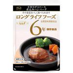 手作りデミソース煮込みハンバーグ ロングライフフーズ