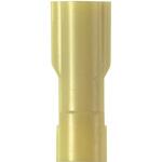 圧着端子 ディスコグリップタイプ PANDUIT(パンドウイット)