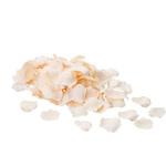 ローズペタル 横浜ディスプレイミュージアム