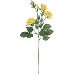 ローズ 横浜ディスプレイミュージアム