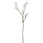 ブランチスプレー 横浜ディスプレイミュージアム