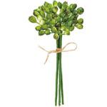 ミニクラスターベリーピック 横浜ディスプレイミュージアム