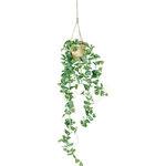 GLA-1104 ベビーハートリーフハンギング 横浜ディスプレイミュージアム