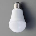 EA758XR-121AG LED電球 エスコ