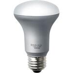 LEDレフ電球 エスコ