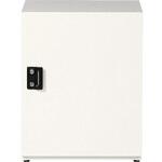 宅配キーパー tumiki ラージタイプ SDS