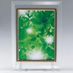 ガラスフレーム キャビネK(2L)判 サクラクレパス