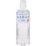 4560422730252 ロジネットジャパン 北海道大雪山 ゆきのみず ペット 550ml x24 ロジネットジャパン