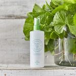 REVI バランシングローション【サロンケア用】ラスト1本 REVI バランシングローション【サロンケア用】ラスト1本 REVI