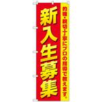 097295 のぼり旗 新入生募集 プロの指導 No．GNB-4285 W600×H1800 トレード