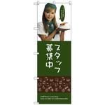 099582 のぼり旗 スタッフ募集中(女性スタッフ) No．SNB-2832 W600×H1800 トレード