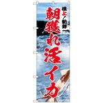 102051 のぼり旗 朝獲れ活イカ 極上 No．SNB-5322 W600×H1800 トレード