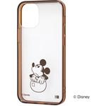iPhone 12 mini ディズニー/ハイブリッド レイ・アウト