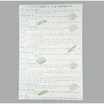 グラシンペーパー(レシピ柄)グリーン 大阪ポリエチレン販売 大阪ポリヱチレン販売