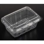 フルーツ容器 バイオニュート カンゴウパック NK 18-13 リスパック リスパック