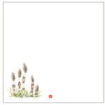 敷紙 耐油天紙 5寸 No.0060 つくし カミイソ産商 カミイソ産商