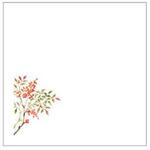 敷紙 和紙4寸懐紙 No.6257 南天 カミイソ産商 カミイソ産商