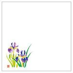 敷紙 和紙4寸懐紙 No.6268 あやめ カミイソ産商 カミイソ産商