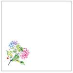 敷紙 和紙5寸懐紙 No.7220 あじさい カミイソ産商 カミイソ産商