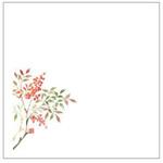 敷紙 和紙5寸懐紙 No.7257 南天 カミイソ産商 カミイソ産商