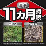 草退治ストロングシャワー KINCHO園芸(旧:住友化学園芸)