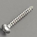 ドリルビス (ALC用/トラス頭) エスコ