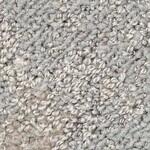 DT-4250 ボイスオブツリー CPタイル サンゲツ