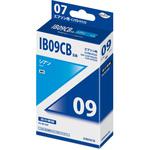EIB09CB 汎用インクカートリッジ エプソン対応 IB09 タイプ 日本ナインスター