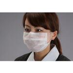 マスク (使い捨て) エスコ