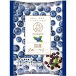 [冷凍]国産ブルーベリー ニチノウ食品