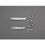 理髪ハサミセット エスコ