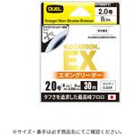 H.D.カーボン EX エギングリーダー デュエル