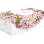 スコッティ カシミヤ ティッシュペーパー さくら 日本製 日本製紙クレシア